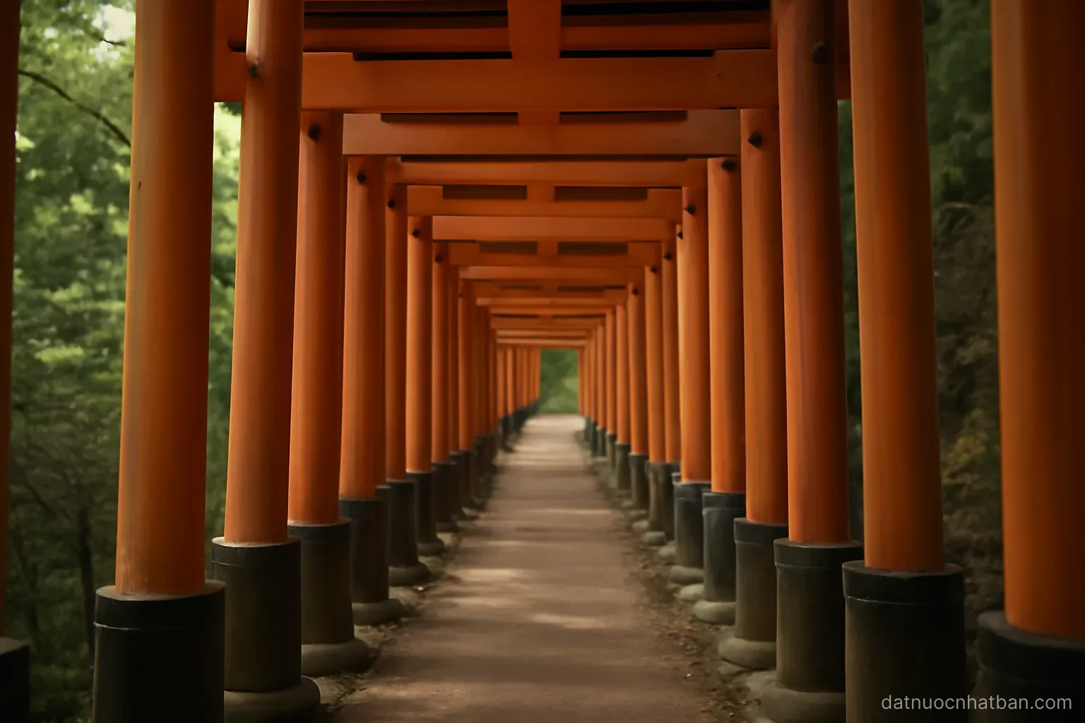 A long corridor of wooden torii gates on a hillside path, no people, soft daylight filtering through